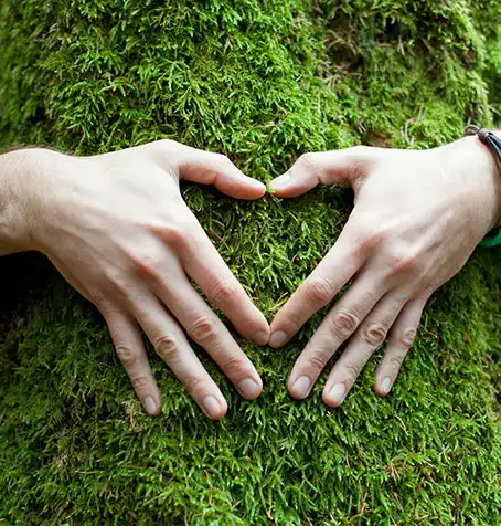 Mani giunte a cuore su parete erbosa a simboleggiare l'attenzione alla sostenibilità e al rispetto delle normative sul riciclo e lo smaltimento dei materiali di produzione